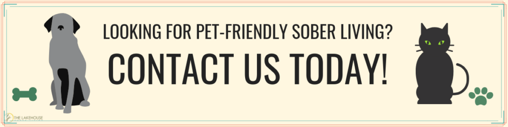 Contact Us Today for Pet Friendly Sober Living - Lakehouse Sober Living